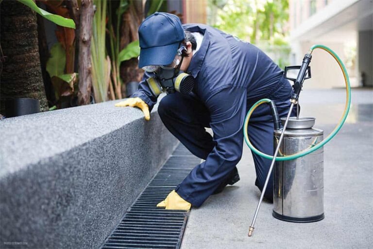 pest control treatments