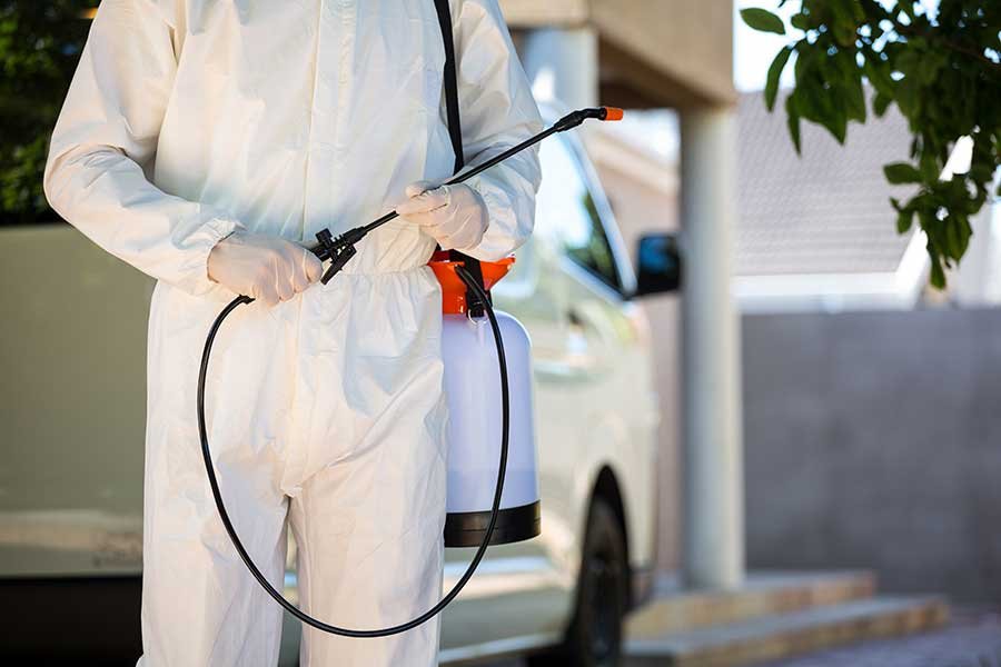 pest control treatment