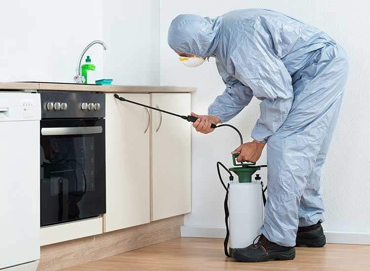 pest control treatments