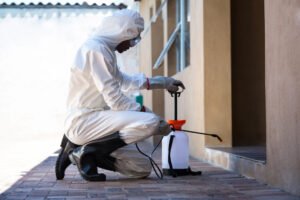 pest control treatment