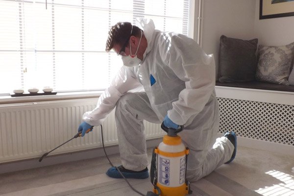 residential pest control treatments