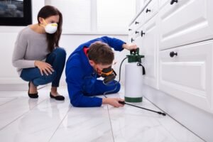 pest control treatments