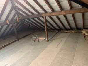 attic pest control treatments